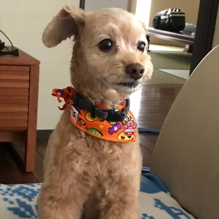 A9de5d39 d754 4851 b6af dd8e1a5652eb