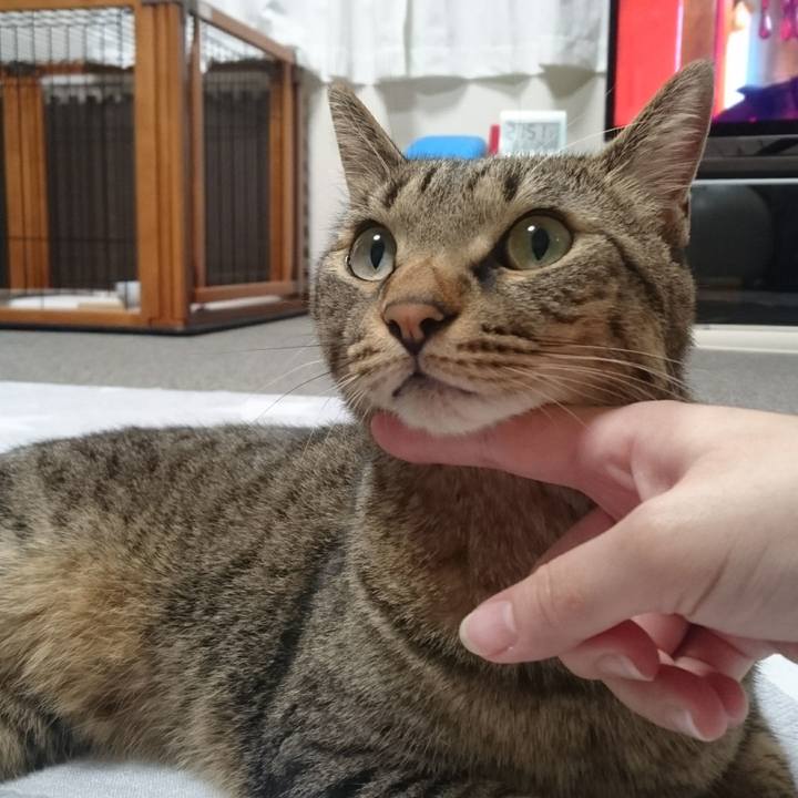 A9deac76 7d41 4b35 a32c 01c4460baf8f