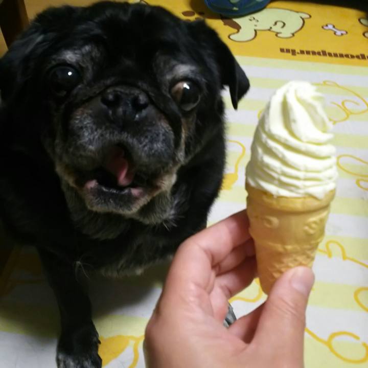 A9dec6df d79b 4d12 8bfa c475c66d7a93