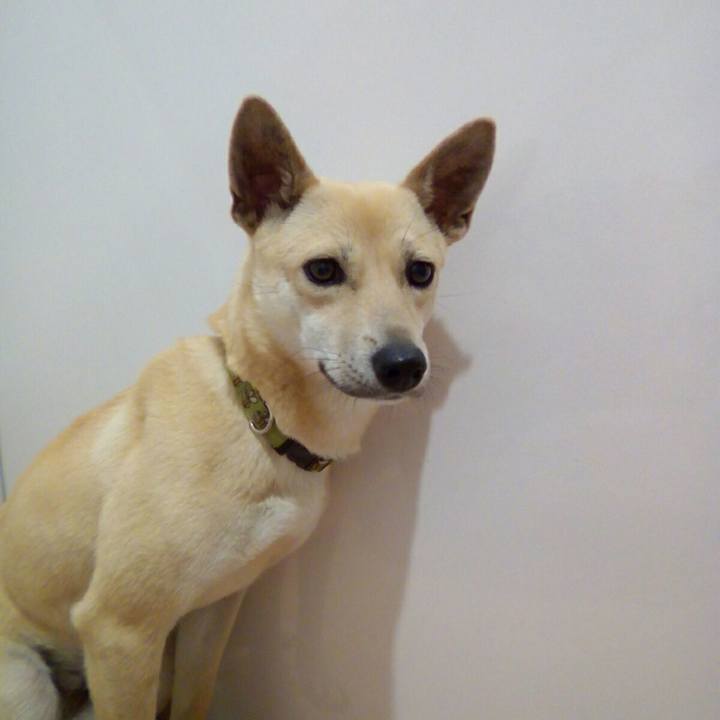 A9dffe78 cf78 4148 aea3 9cf7fcb902f0