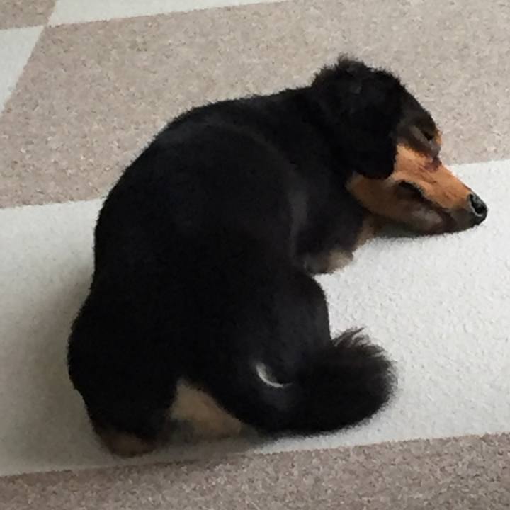 A9e01cc2 b095 4e92 90a7 6bf33b516a63