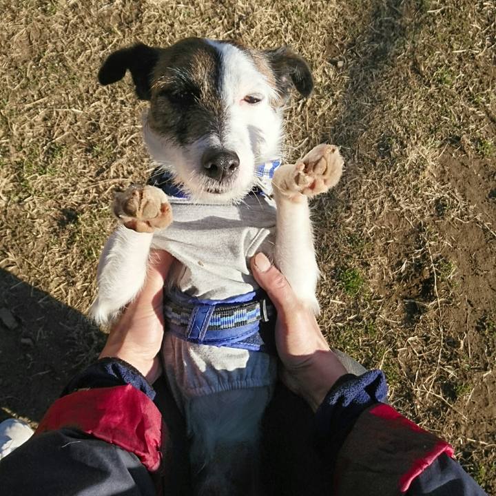 A9e03d7e e288 4cf3 8e34 e90eea564651