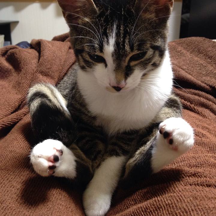 A9e0812f a640 4858 9942 a9a5d4c1db1f