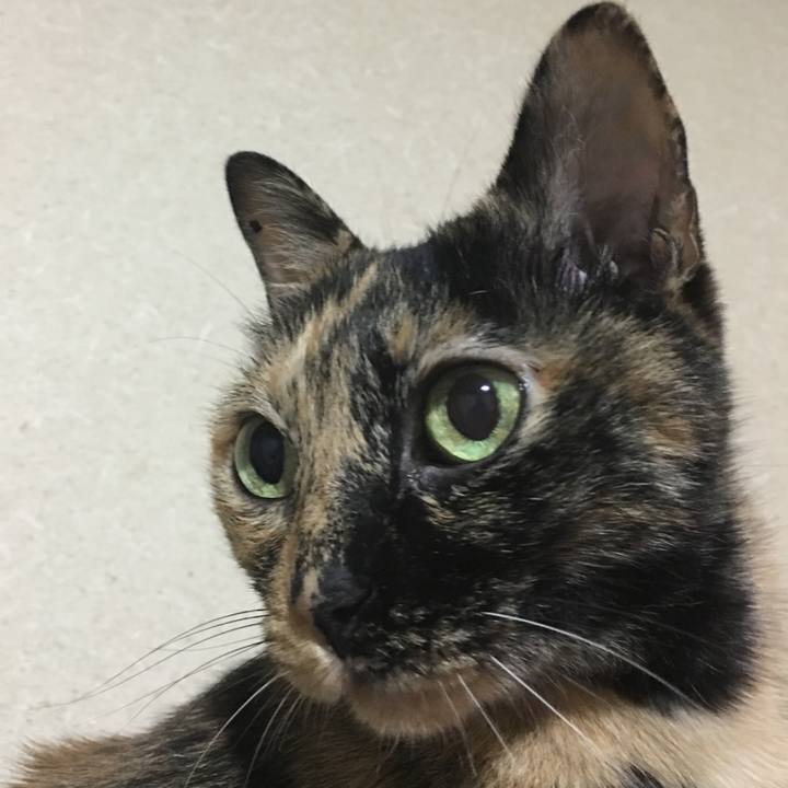 A9e0a839 8e2c 4cc9 9758 da70b3d85fd3