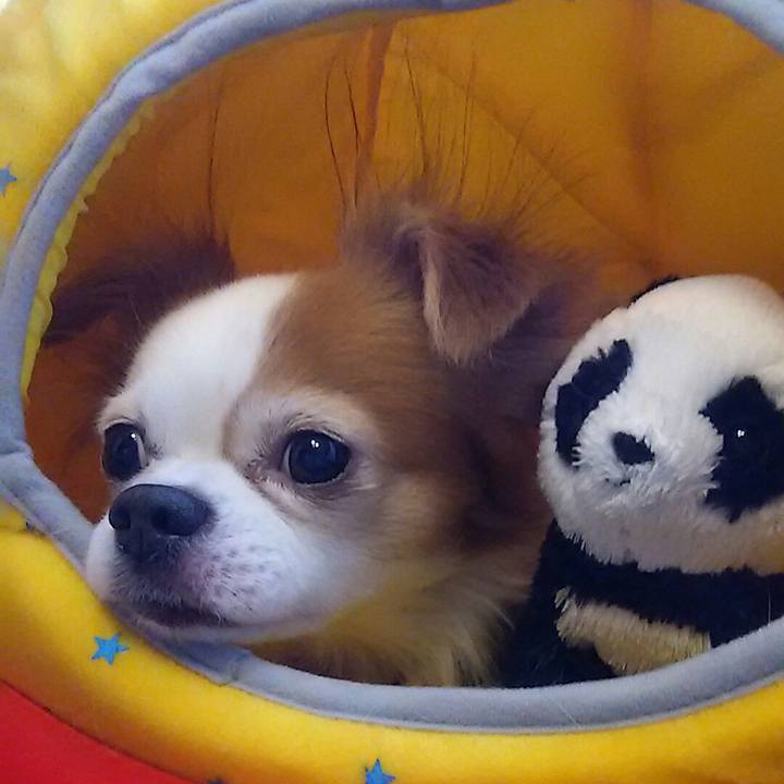 A9e0edc5 d9bf 4fe7 b6bf 3f35e1c9cf6f