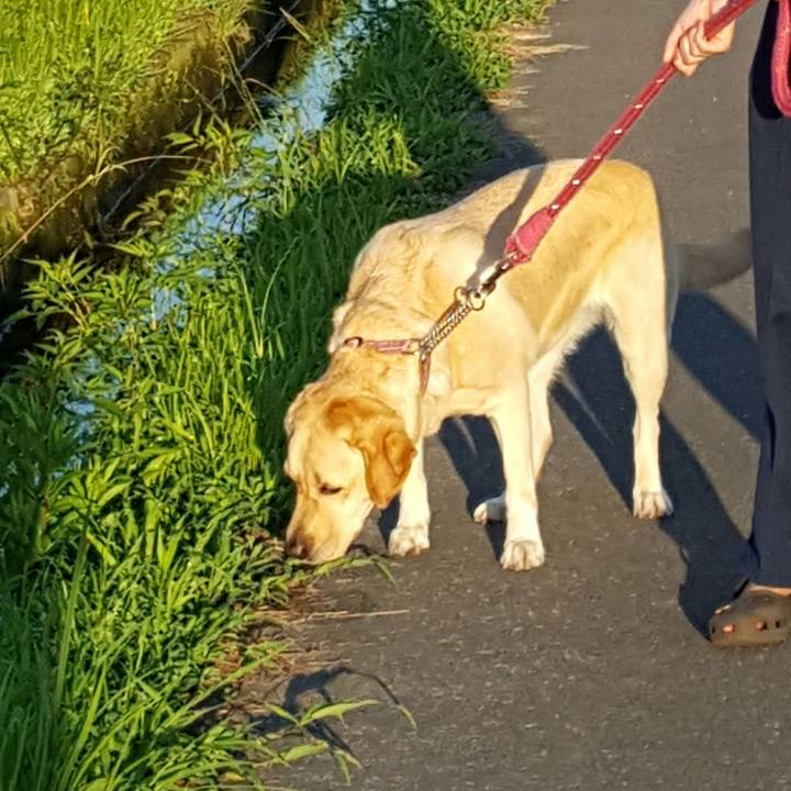 A9e143d9 8f2b 429f b3e3 f9717f9d66e6