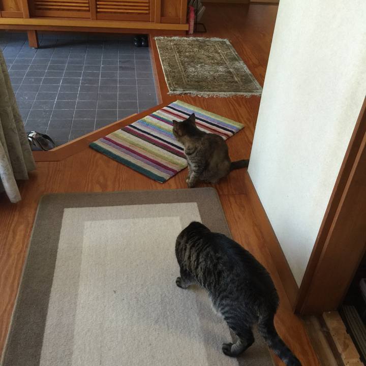 A9e14e64 77a6 49fa ac35 f3308ba6eb2c