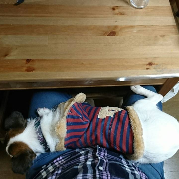 A9e19e09 ccdc 41b7 af6c c2c267e3dd09