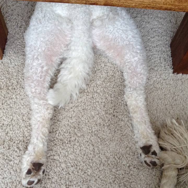 A9e1ef71 ef62 4a7f 8da2 3cde03a58070