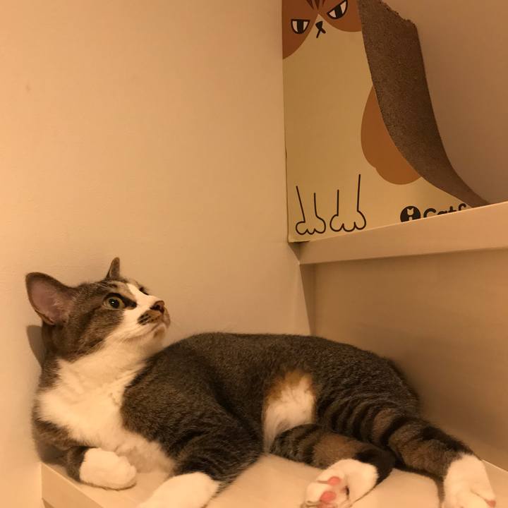 A9e201d4 2d1b 43bc 8791 5f441298436a