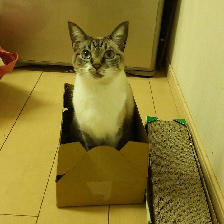 A9e23527 ac00 44cb 990f 7aa116a30205