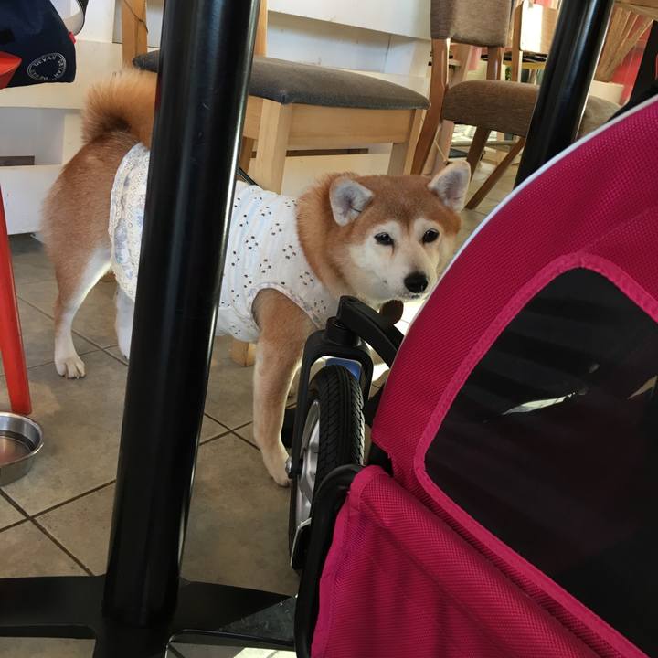 A9e2a0ac 3bc2 47bc aa05 aa4349bc0b84