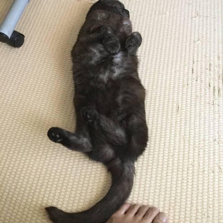 A9e3a84b e0ed 4f90 86ba 8910f1e166c6