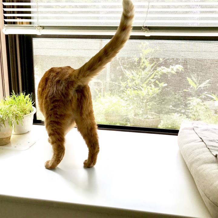 A9e3aaa7 cca9 4510 9c26 fe1eb0fcd523