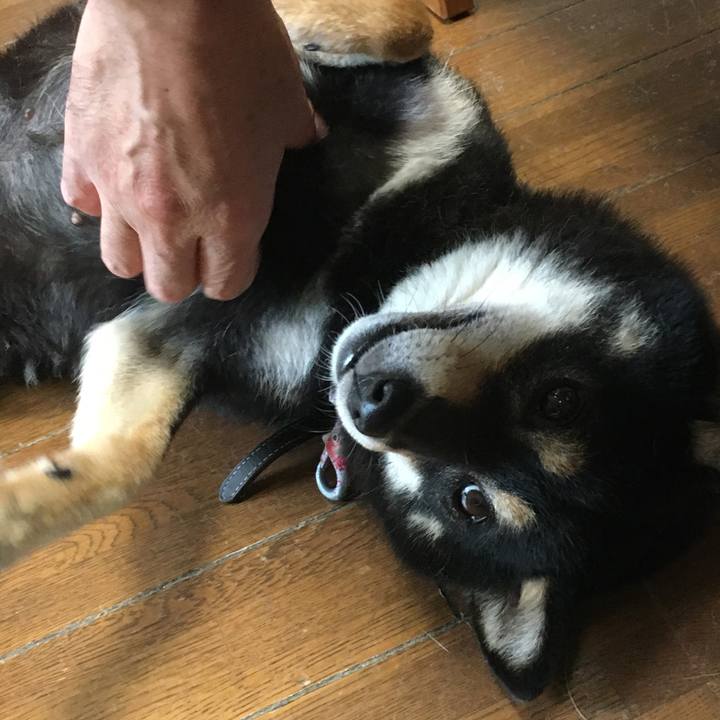 A9e3f742 4347 4389 8047 9844af5c1196