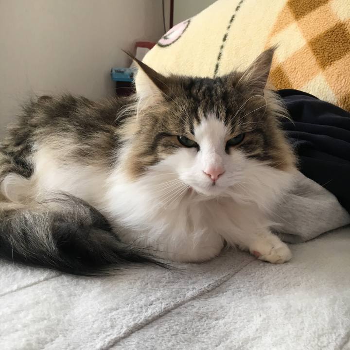 A9e4d71c e632 48b9 ab39 d63cc56ae568