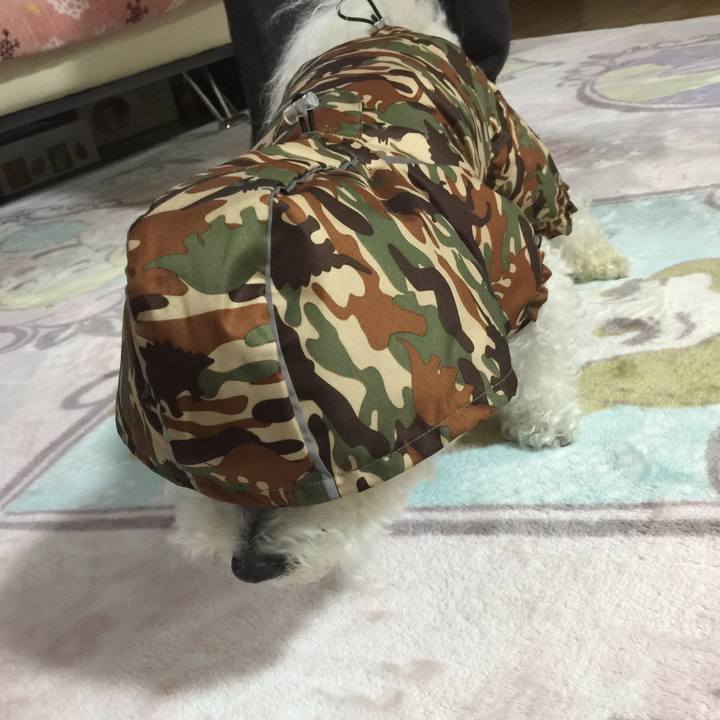 A9e59bc2 388a 42e4 87f0 99591303c2bd