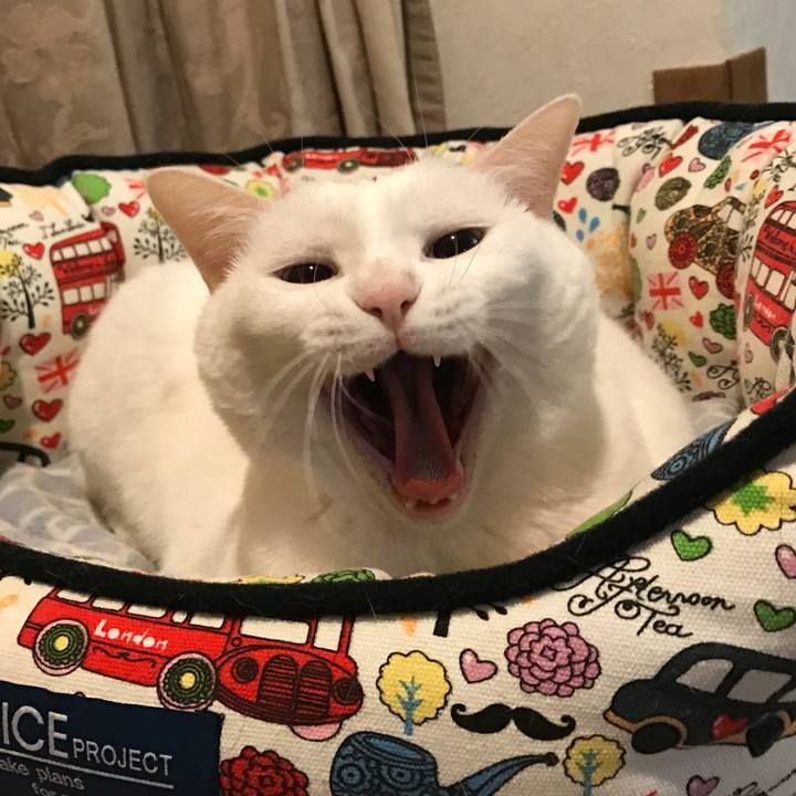 A9e62e09 97dc 4fae 88e1 f080640d18cb