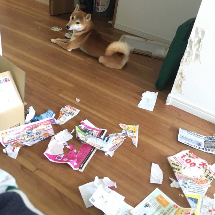 A9e64e10 ec91 4648 ad2a 61135df535b7