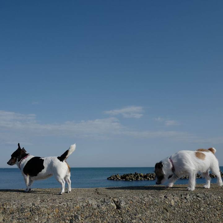 A9e69402 acf9 4c09 a65c 9fc99c53b7fe