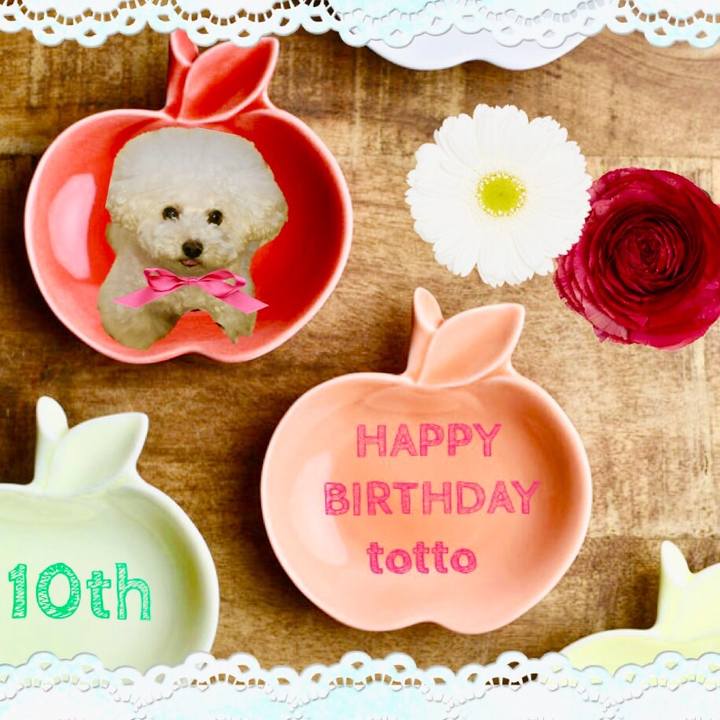 A9e7101f 26db 42f2 bc68 09c4b4224b85