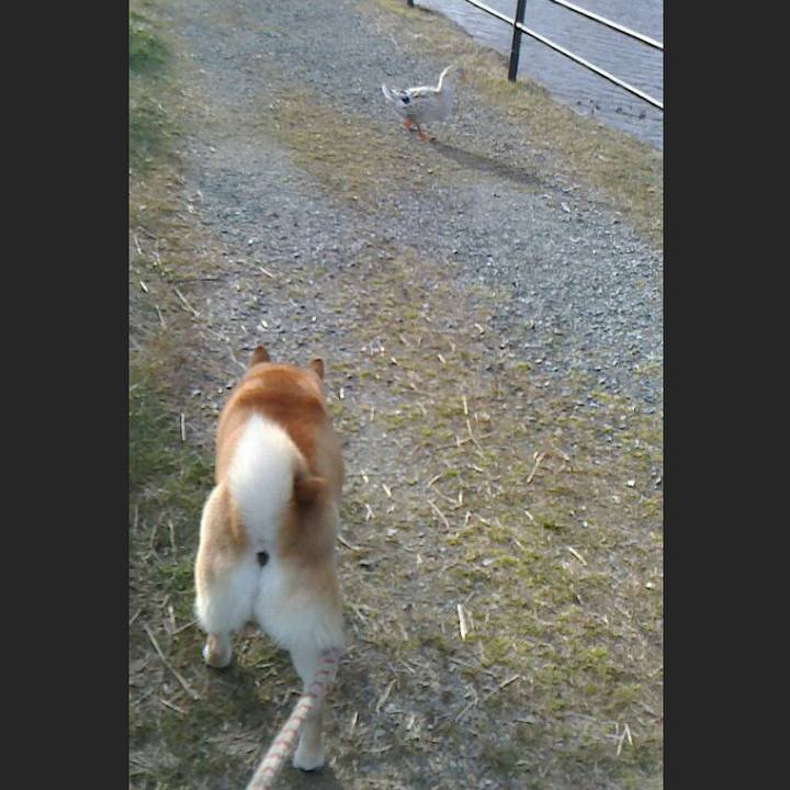 A9e713a8 9b7f 49ea 8b93 b7397c1d6ea6