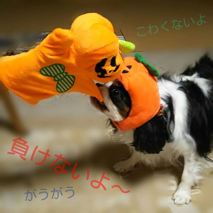 A9e73b7e a27a 42c5 8904 a984cb621bea