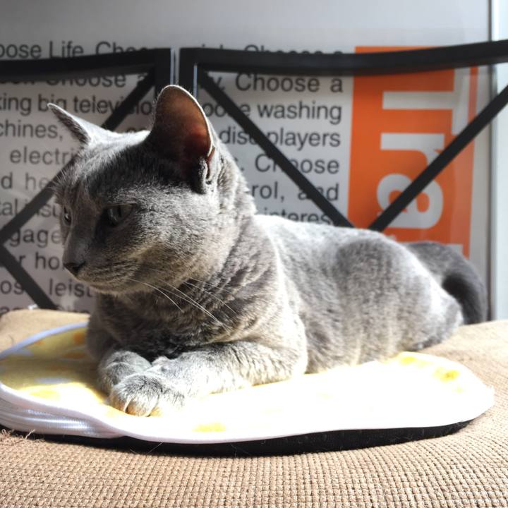 A9e78de0 a144 4f9d a2ad b8ca11830996