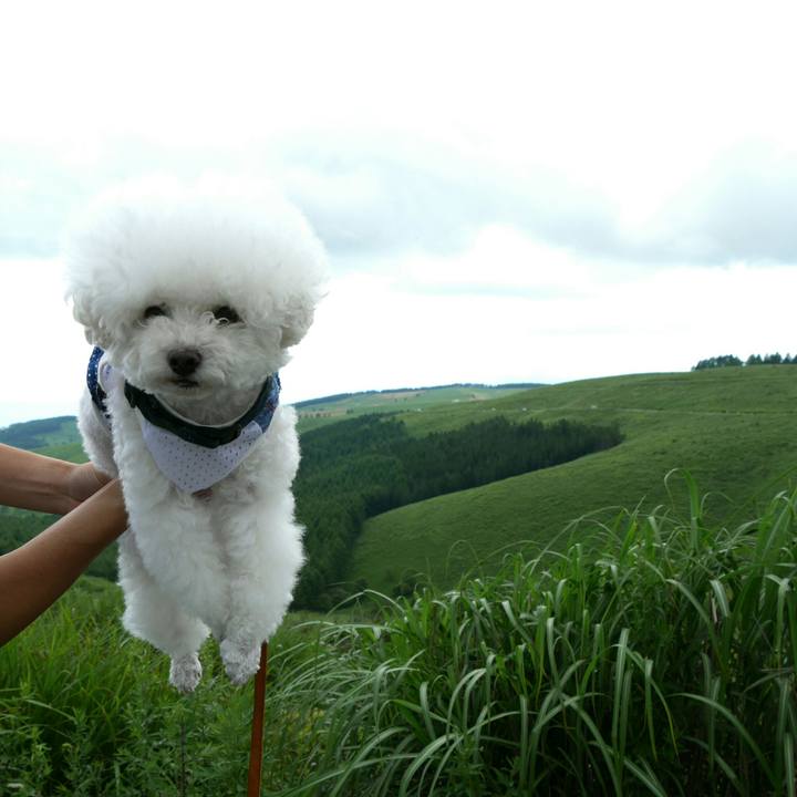 A9e7a189 bb8b 4f7d 9537 413ed379ce32