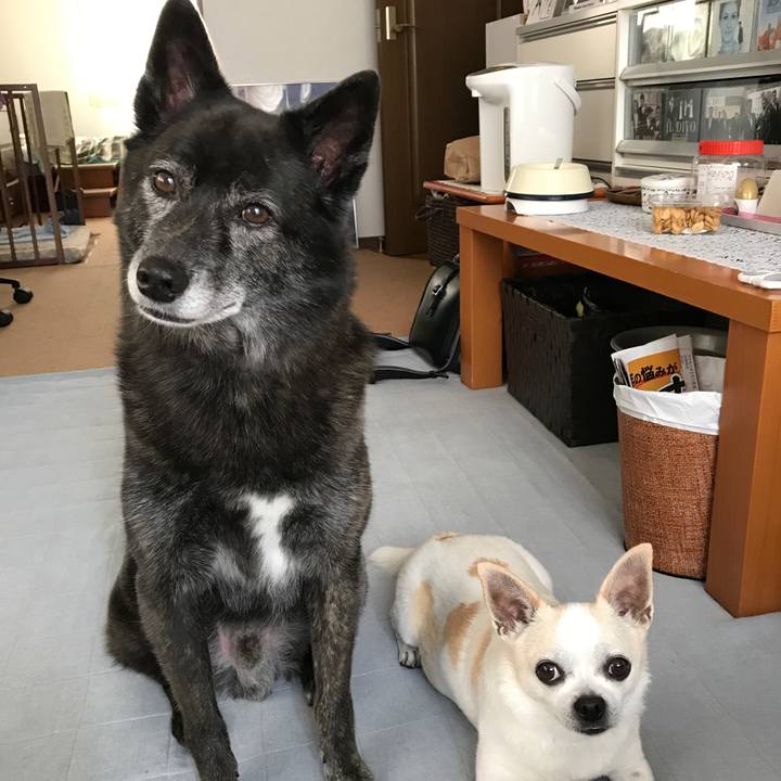 A9e7e976 dafc 4c89 872e 0fbb5b110f2f