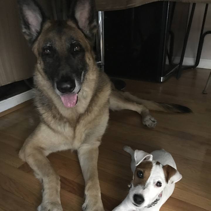 A9e7eb58 b7db 4115 87dc 19ae06127975