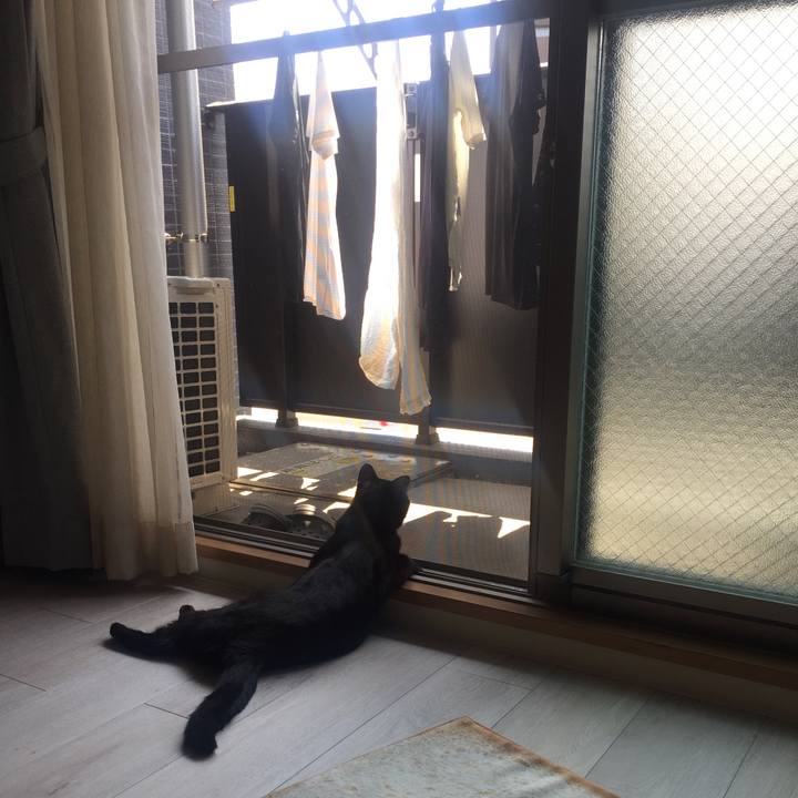 A9e81e36 984a 4251 b44c f68a9a2eb6b1