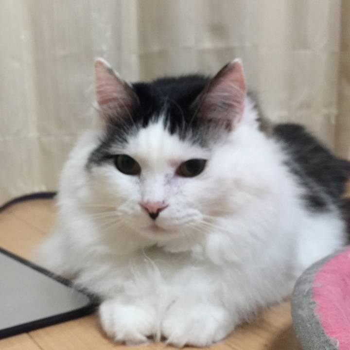 A9e83fda e61e 48c2 9ca3 8453644acdb9