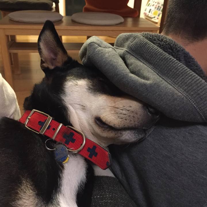 A9e91de7 f836 4549 abdf 7b47d7ae1a6d