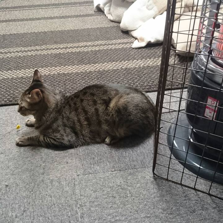 A9e9b654 0ff0 4fe5 8bfc 0c4416639f65