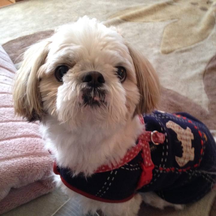 A9ea36fb b357 4994 bf69 41c36855d994