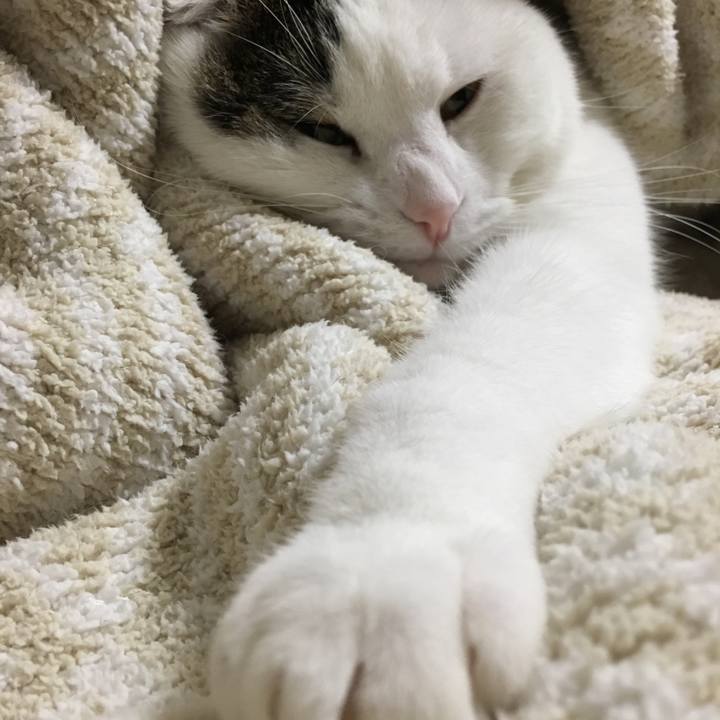 A9ea54d2 8442 4b47 a50e a170d6ed8355