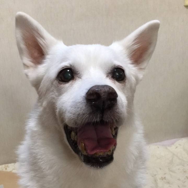 A9ea586d cf71 4466 8319 d6a039797978