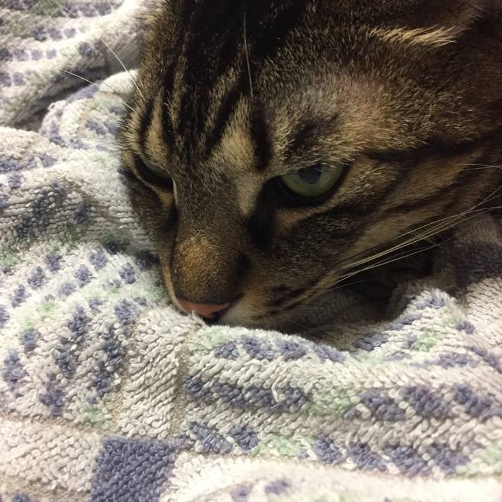 A9eb2d54 af1f 489e b0f5 9d47441249fe