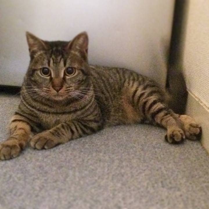 A9ebf43f 885f 4558 a1c2 dc68115190c0