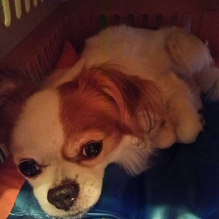 A9ec362f 2726 4bb7 a97f 37c606303d40