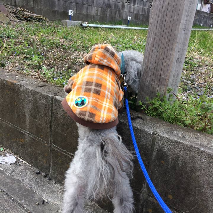 A9eca70d 748e 4e36 be4e 33cac9ce1d4c