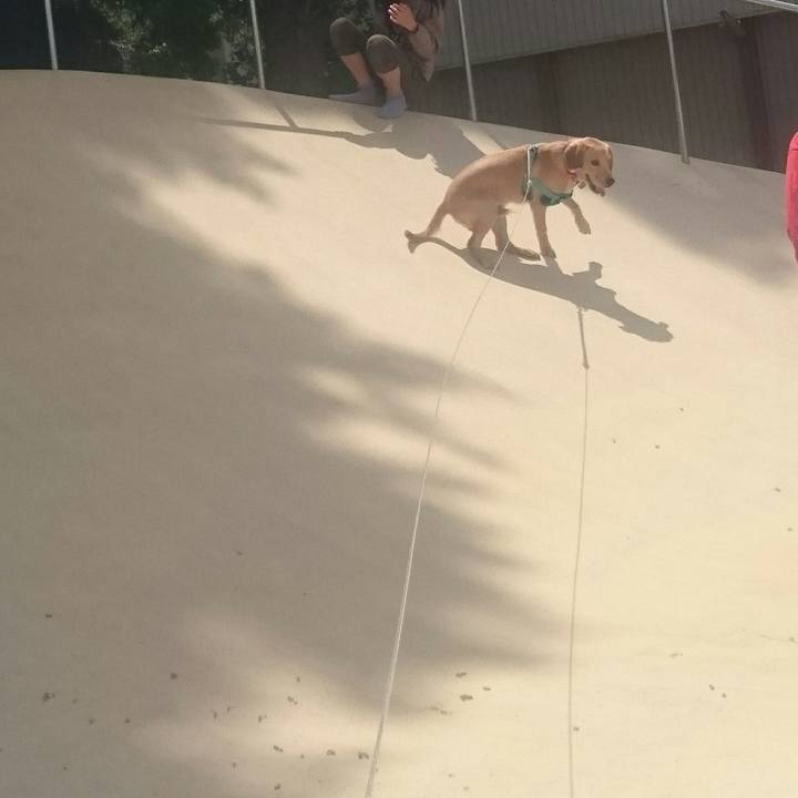 A9ed9b35 e837 4c3d b8c9 92ae1d1c3ac6