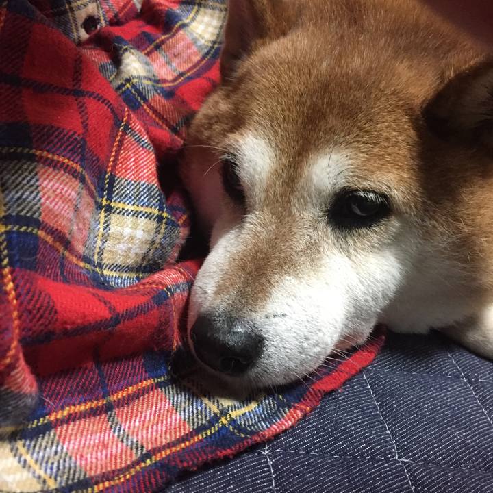 A9ee17e6 3a86 4473 a2db 1bef2c9aab43