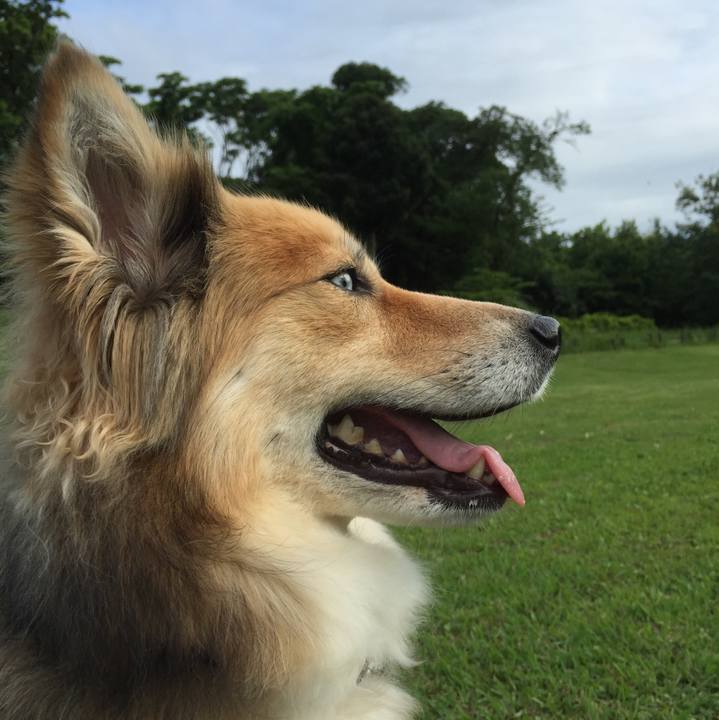 A9ee2a2d ad80 4656 9a07 162354b41ca7