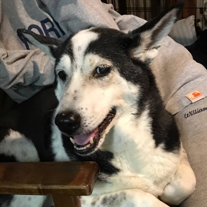 A9ee2fbe 203d 4486 b999 f8d3bd08695e