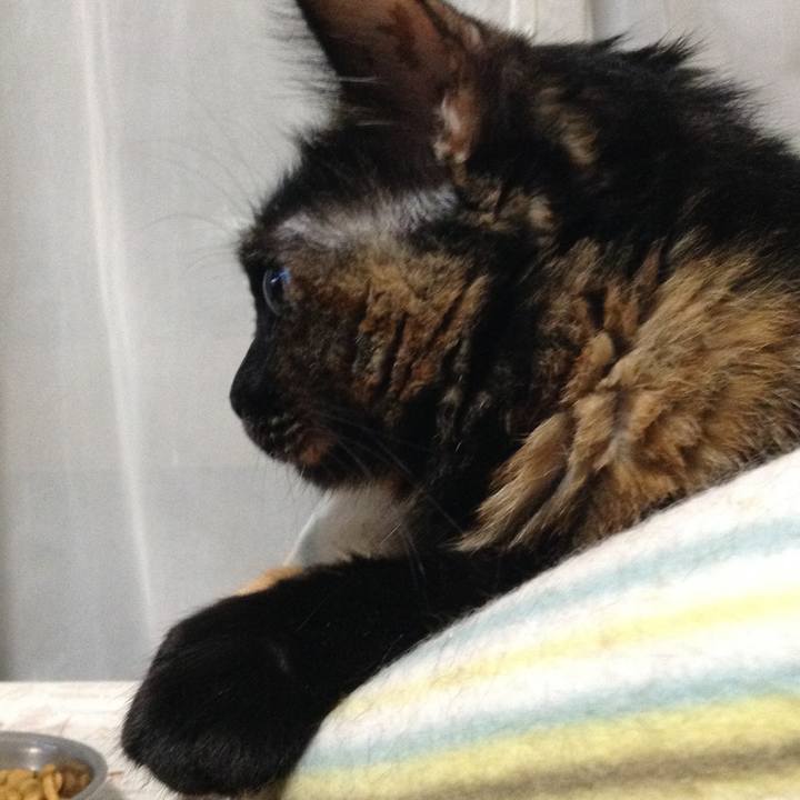 A9ee617b 3392 4ce8 8fe5 6af338a4f2e9