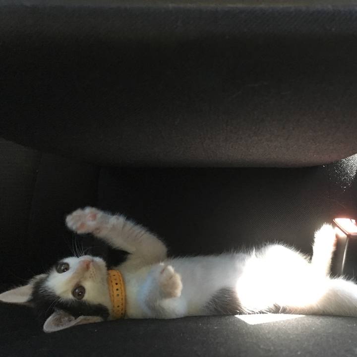 A9ee7522 d9f2 4d0a 8cb2 fd82f676afbf