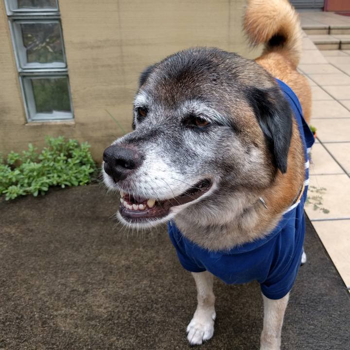 A9ee7771 43b3 4c82 b4bb 2ea9935d3314