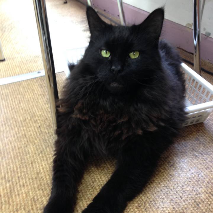 A9ee9c35 63c6 4f3c 8510 2c8a1b4c7f46